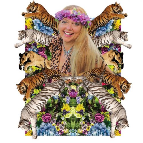 16-Pack Tiger King Stickers | Joe Exotic, Carole Baskin | Fun Multicolor Vinyl Decals For Car, Laptop, Guitar